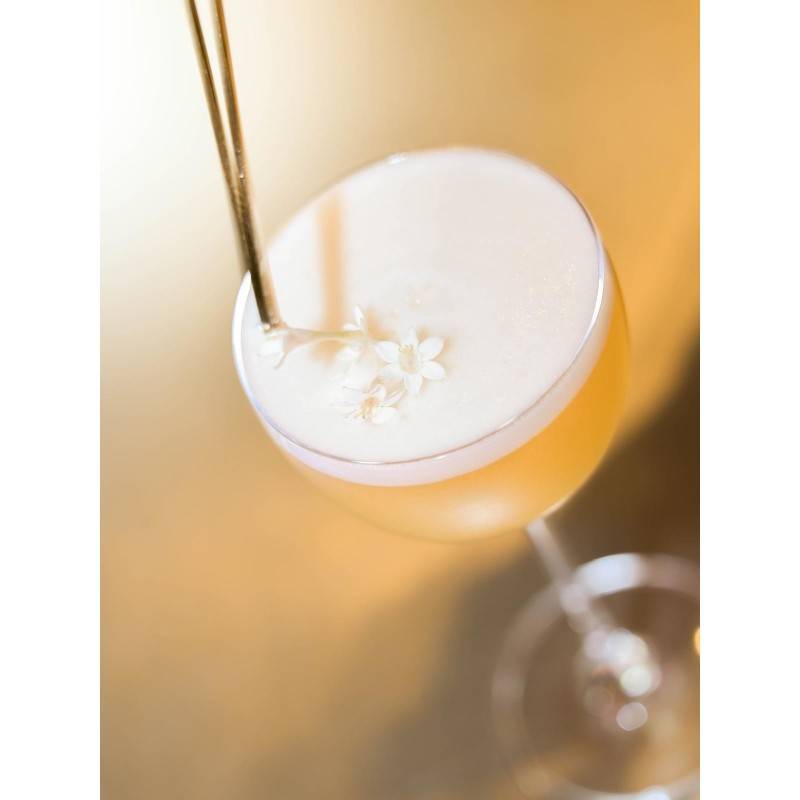 SPUMA foamer 100% Végétale