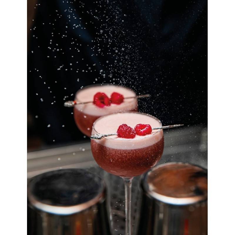 PUREE DE FRAMBOISE 1kg