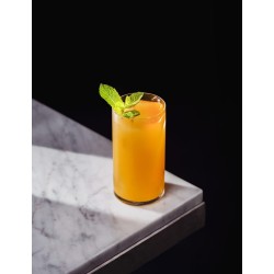 PUREE DE MANGUE 1KG