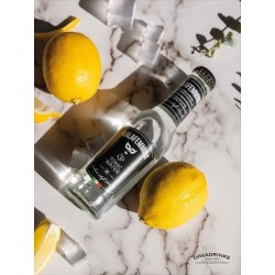 TONIC WATER X24