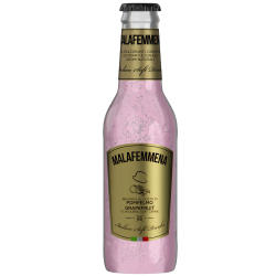 Soda pamplemousse 200 ml