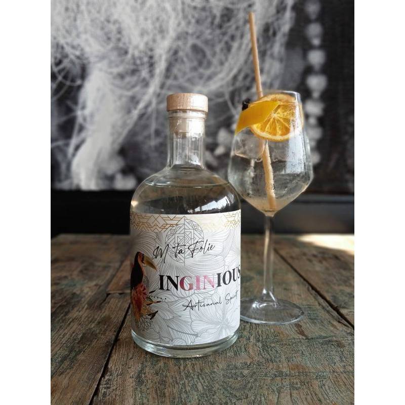 INGINIOUS GIN 70CL 42% Vol - Matériel de Bar