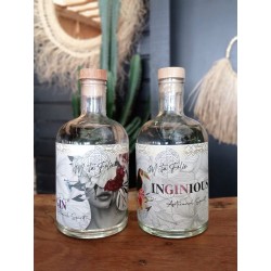 Pack 2 Bouteilles : INGINIOUS GIN / IN DEEP GIN 70CL 42% Vol - Matériel de Bar